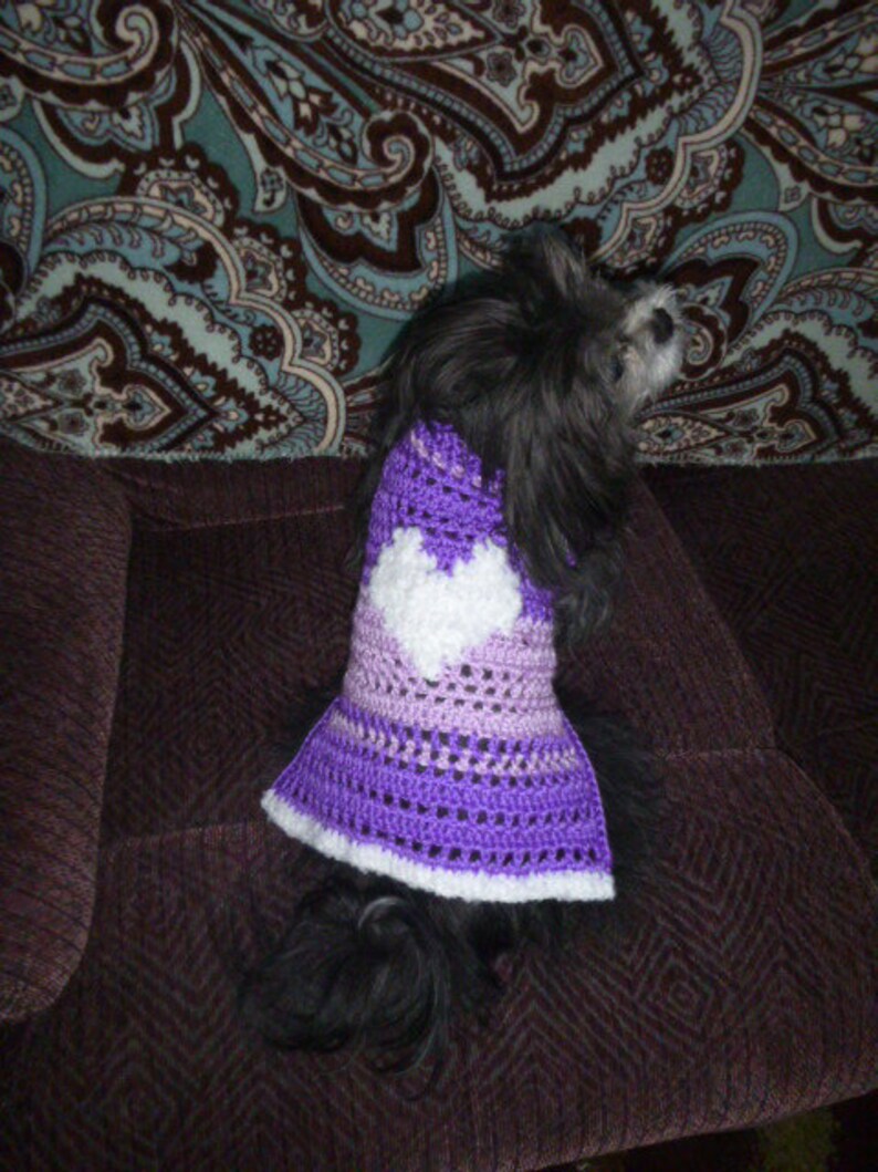 sweater for 2 lb dog
