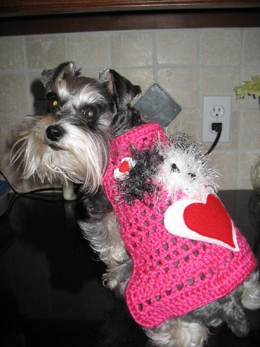 MY FUZZY VALENTINE choose your Fuzzy 2 to 20 lb dogs | Etsy