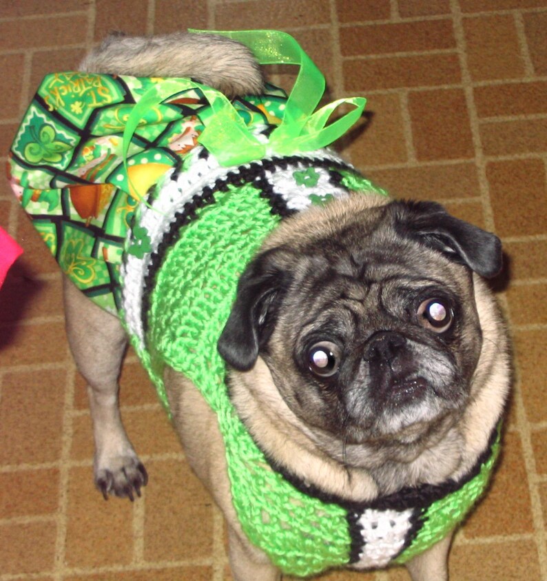 2 to 20 lb dogs-Boys matching sweater also available SHAMROCKS and LEPRECHAUNS Skirtter
