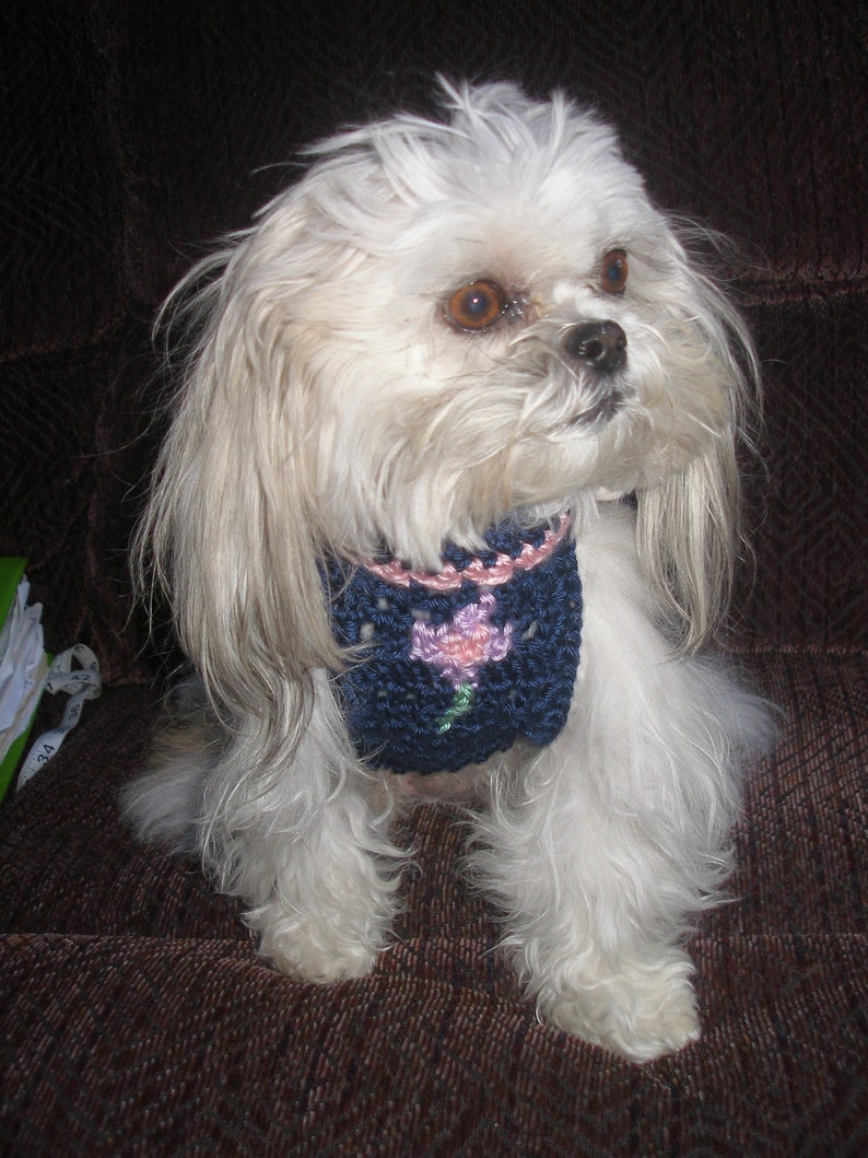 FUZZY has a GIRLFRIEND dog sweater Many colors Westie face avail-2 to 20 lb dogs image 4