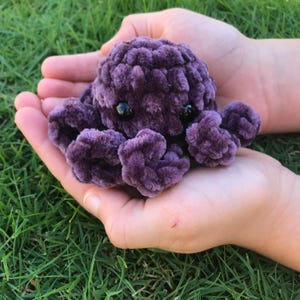 May include: A small, purple crocheted octopus with black eyes. The octopus is sitting in the palm of a hand.