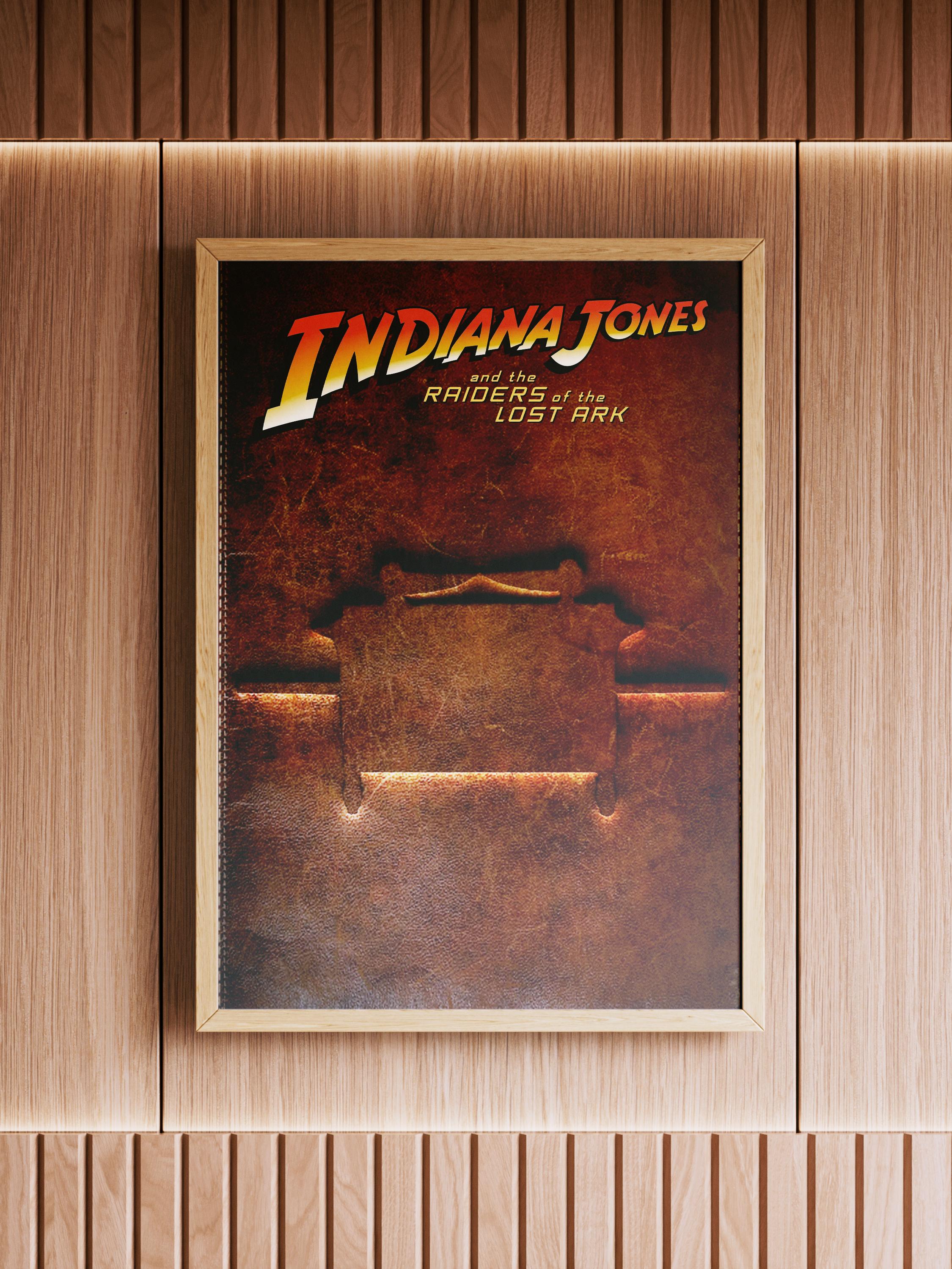 Panneau Décoratif Métal Indiana Jones - 30x20 Cm, Multicolore, Neuf Sous Emballage, Décoration Garage Ou Mur