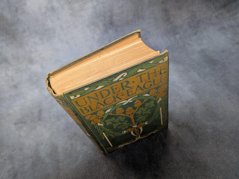 May include: An antique book titled "Under the Black Eagle" with a green cover featuring botanical illustrations and gold lettering. The book's pages are aged, with a warm, golden hue. The cover design includes stylized leaves and berries.