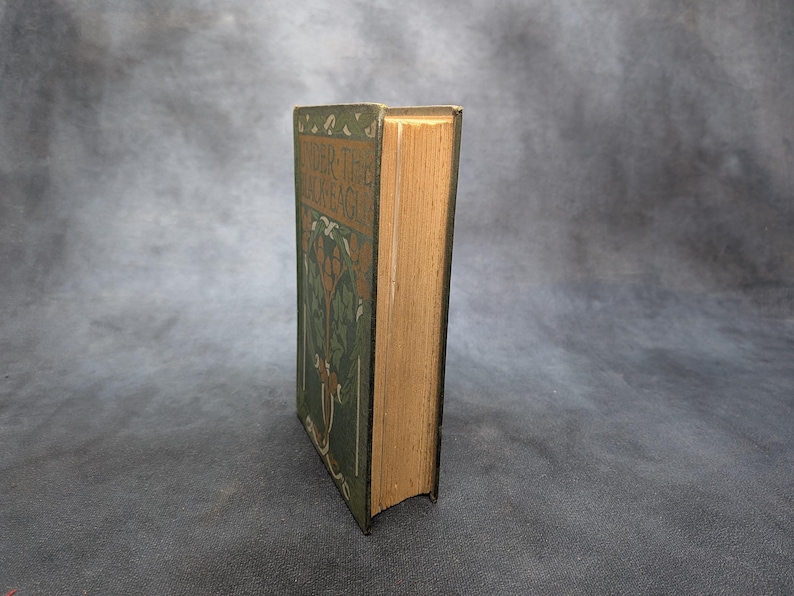 May include: An antique book titled "Under the Jackstaff" with a green cover featuring an illustrated tree design. The book's pages are aged, and the spine is visible. The book is set against a neutral background.
