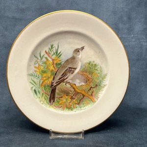 Victorian Hand Painted Plate 1879 E.J.G, Mocking Bird Painting, 19th Century Art