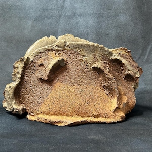 Pode incluir: Uma escultura de cerâmica áspera, texturizada, de cor castanho e cinza, com uma forma abstrata e orgânica.