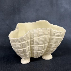 White Royal Worcester 69, Bone China Footed Shell like Bowl
