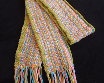 Multi-color scarf, long, colorful, linen stitch, fringe, winter, warm, unisex, versatile, gift, colorful