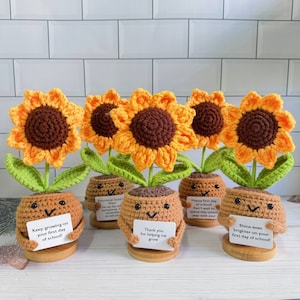 Könnte beinhalten: Gehäkelte Sonnenblumen-Dekorationen mit orangefarbenen Blütenblättern und braunen Zentren. Jede Blume sitzt in einem braunen Topf mit einem lächelnden Gesicht und hält ein Schild mit einer Botschaft. Die Schilder lauten: "Wachse weiter an deinem ersten Schultag!"