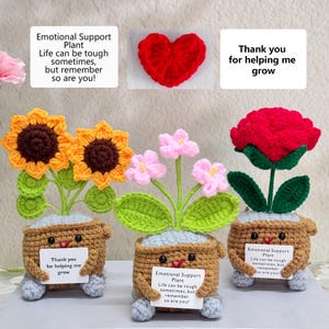 Personalisierte gehäkelte Sonnenblume / Rose / Vergissmeinnicht, Blumen wachsen in Mülleimer, Pflanze zur emotionalen Unterstützung, danke Geschenk für Lehrer / Mutter / Freunde