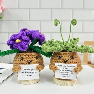 Peut inclure: Deux pots de plantes en crochet avec des visages. Le pot de gauche a des fleurs violettes et une pancarte qui dit "Merci de m'aider à grandir". Le pot de droite a des feuilles vertes et une pancarte qui dit "Plante de soutien émotionnel La vie peut être difficile parfois, mais souviens-toi que tu l'es aussi !"