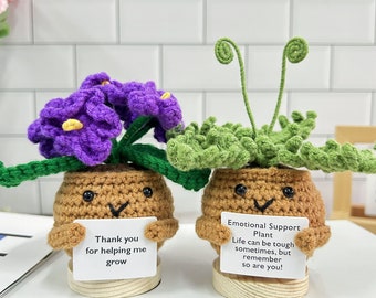Thank you Gifts Set-Handmade Crochet Violet and Fern leaf-Emotional Support Plant-Mother's Day Gift,Teacher Appreciation-Cute Desk Decor