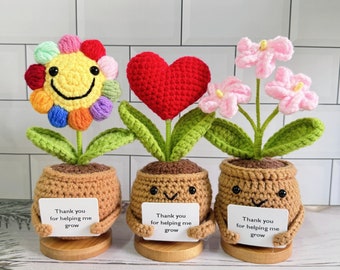 Handmade Crochet Rainbow Sunflower,Red heart and Forget-me-not,Crochet Desk Flower Decor,Thank you for Gifts,Summer Gift,Back to school Gift