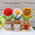 3PCS Adorable Emotional Support Gift Set-Handmade Crochet Flowers in Pot-Sunflower/Rose/Daisy-Crochet Flower Desk Decor-Gift for her
