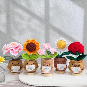 Thank you for helping me grow Crochet Flowers,Cute Crochet Sunflower/Rose/Daisy/Peony/Forget-me-not,Emotional Support Plants,Thank you Gifts