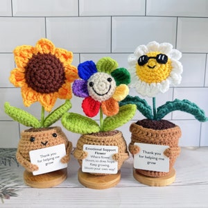 Handmade Crochet Sunflower/Daisy/Rainbow Flower,Crochet Potted Flower Desk Decor,Emotional Support Plant,Thank you gift,Back to school Gift
