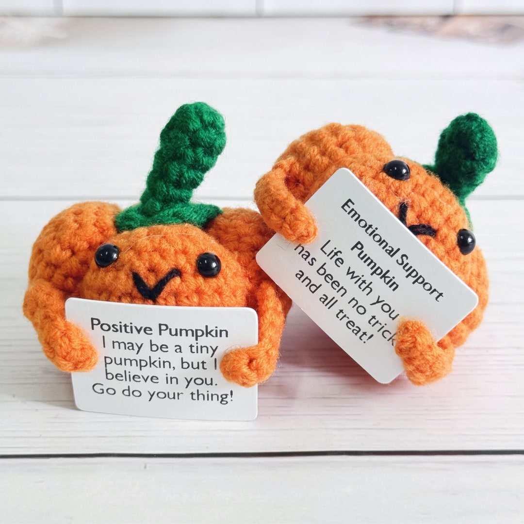 Adorable Handmade Crochet Pumpkin,emotional Support Pumpkin