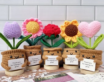 Vielen Dank für die Hilfe mir wachsen Topf Geschenk-Handmade häkeln Sonnenblume / Rose / Gänseblümchen / Tulpe / rosa Herz-Emotive Unterstützung Pflanzen-Danke Geschenke