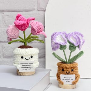 Adorable Crochet Tulip/Carnation,Handmade Finished Product,Crochet Potted Flower Decor,Mother's Day Gift,Thanks Gift for Mom/Teacher/Friends