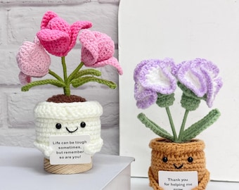 Adorable Crochet Tulip/Carnation,Handmade Finished Product,Crochet Potted Flower Decor,Mother's Day Gift,Thanks Gift for Mom/Teacher/Friends
