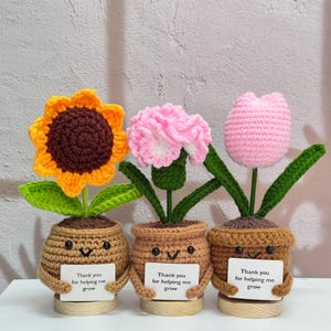 Adorable Handmade Crochet Flowers Gift-Sunflower/Carnation/Tulip,Crochet Flower Desk Decor,Thanks Teacher Gift,Mothers Day Gift,Gift for her