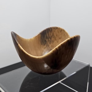 Gunnar Nylund Rörstrand Steingut Schale: Skandinavische Hasenfell-Glasur, 1950er Jahre