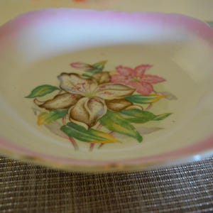 Vintage Hand Painted Pink and Floral Dish Bowl - cottagecore - retro kitchen -