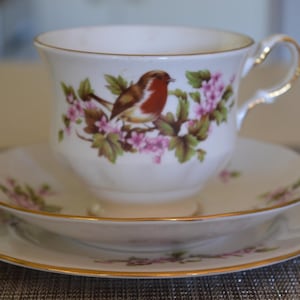 Vintage - Queen Anne Bone China Tea Trio - Robin Bird & Pink Floral Pattern