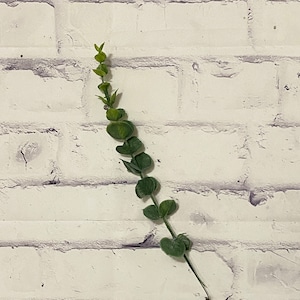 Eucalyptus Greenery Stem, 14&quot; Floral Stem, Greenery and Stems, Wedding and Reception, Sign Making Supplies, Wreath and Bow Supplies