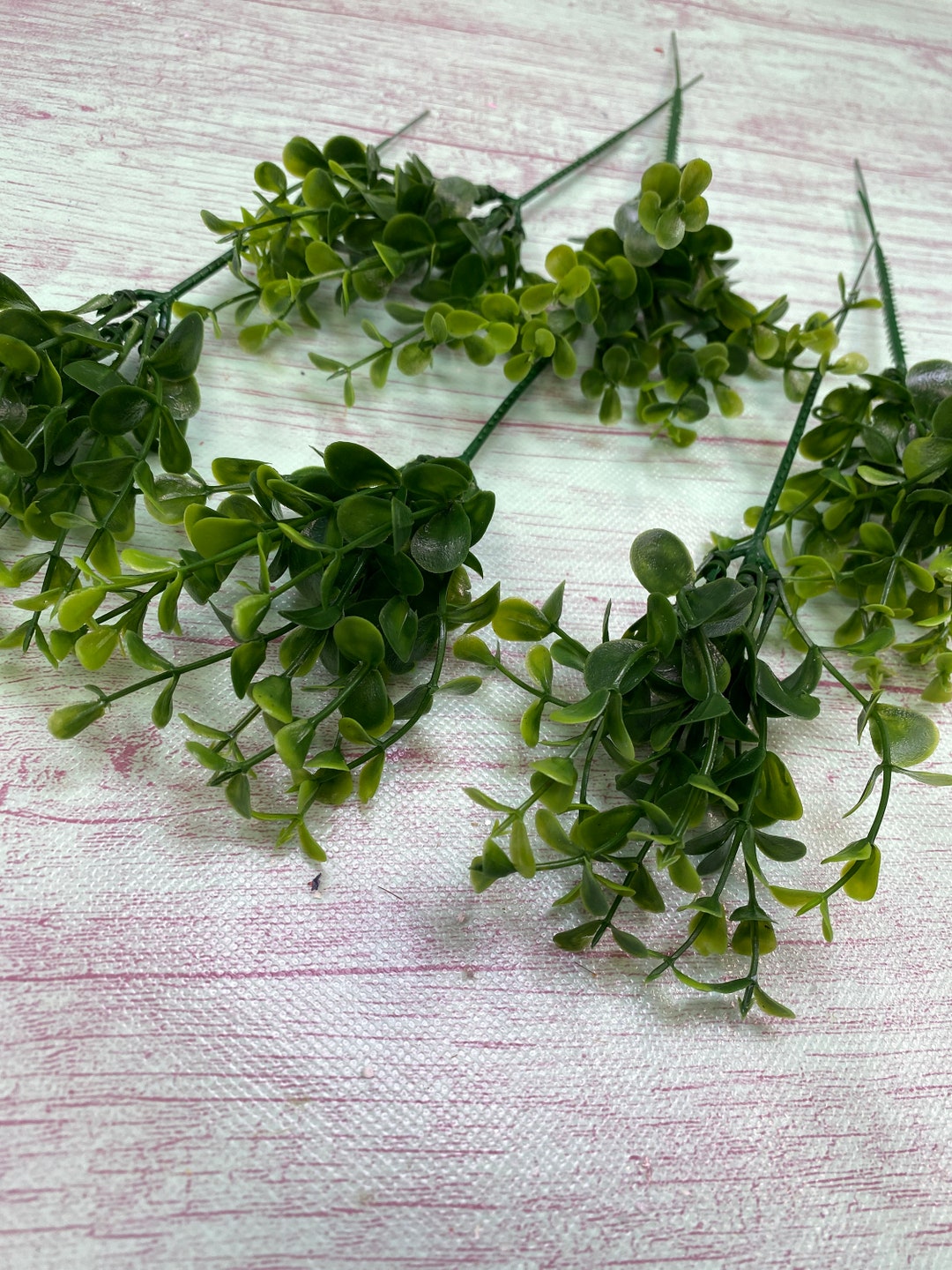 Boxwood Pick 6 Pc Set, 8.75 Stem, Boxwood Greenery Bush Sign Making