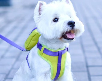 Arnés para perros, Mochila para perros, con correa, para perros pequeños y medianos, Bulldog Francés, Maltés, Schnauzer, Yorkshire Terrier, Corgi, Pomerania