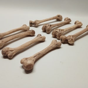 Ossos humanos em miniatura