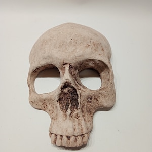 Human Skull Replica