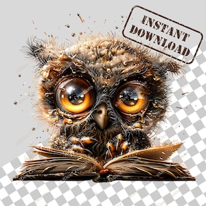 Clipart hibou, 1 PNG, jolis graphiques d'oiseaux pour le scrapbooking, cartes, autocollants, carnets indésirables, sublimation, téléchargement numérique, usage Commercial