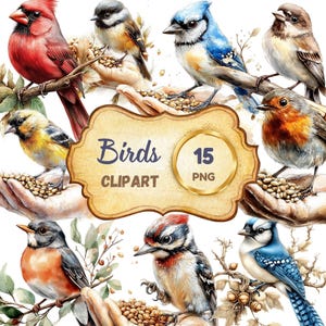 Pacote de clipart de pássaros em aquarela, 15 PNG, gráficos de vida selvagem para adesivos, scrapbooking, diário, download digital, presente para observadores de pássaros