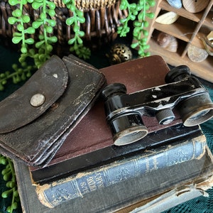 Antique opera spyglass glasses binoculars with case