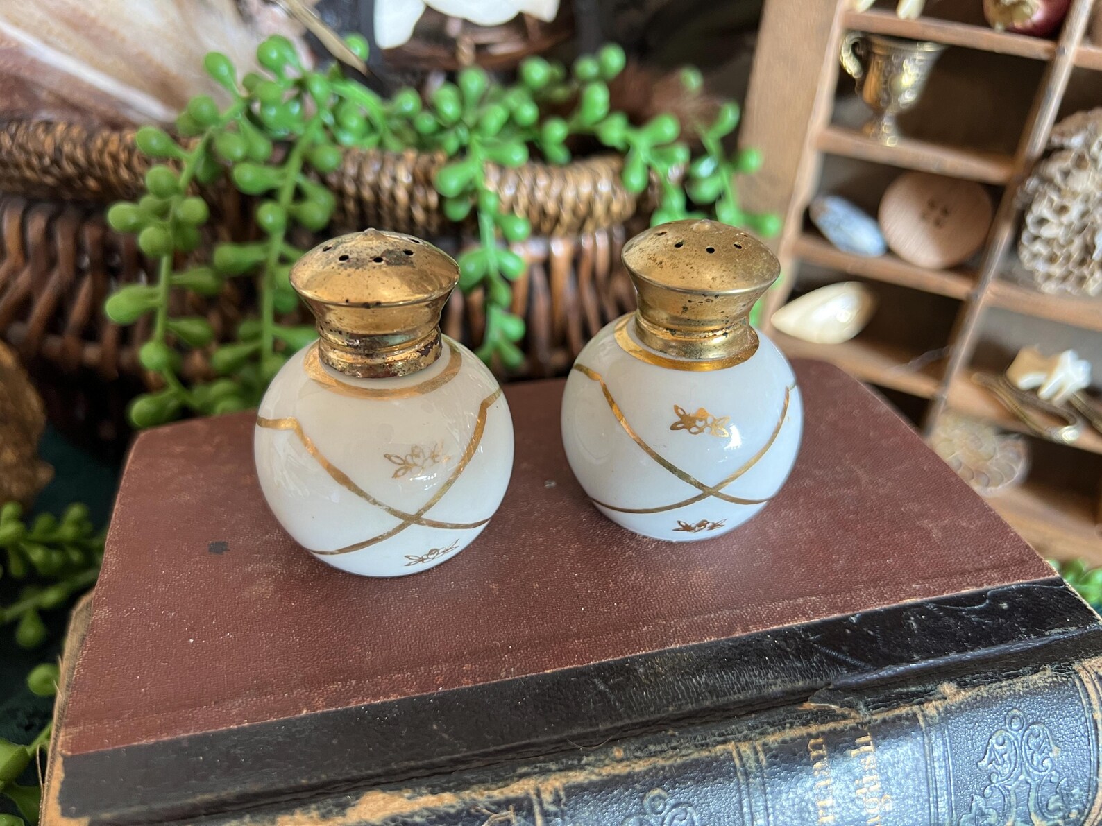 Extraordinary Irice Salt And Pepper Shakers Images