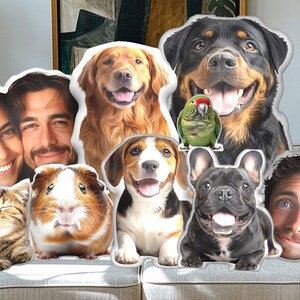 Personalized Shaped Pillow, Custom Pet Pillow, Pet 3D Pillow, Dog Pillow, Cat Pillow, As Birthday Gift, Memorial Gift For Pet Lover