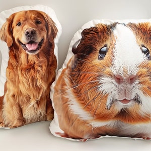 Custom Ugly Pillow For Friend Or Pet, Dog Pillow Personalized, 3D Stuffed Pillow, Pet Shaped Pillow, Memorial Gift, Christmas Gift