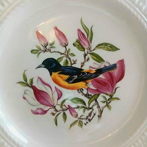 Royal cauldon plates - Etsy 日本