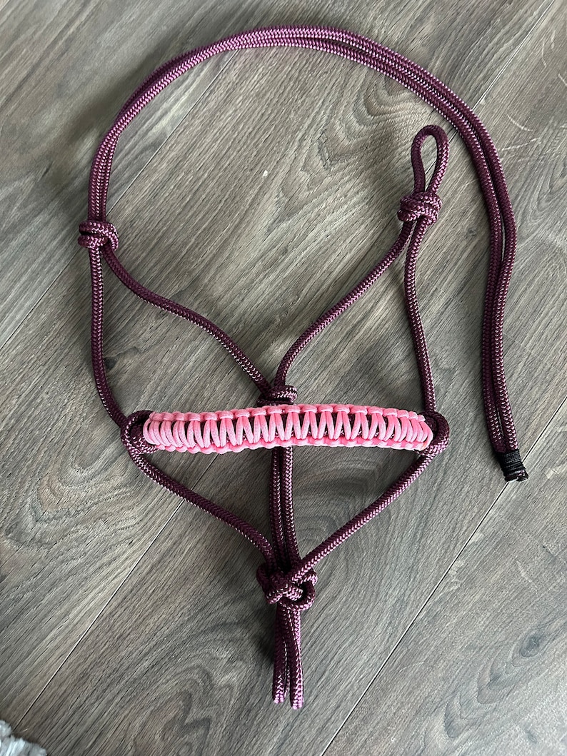 Custom Horse Yacht Rope Halter With Colourful Noseband - Etsy