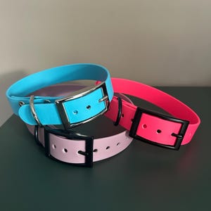 Collar de biotano impermeable con hebilla para perros: diseña el tuyo propio