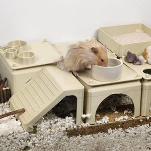Puede incluir: Un hábitat beige para hámsteres con múltiples niveles, incluyendo una rampa, plataformas y un pequeño cuenco blanco. Un hámster marrón claro bebe del cuenco. El hábitat está sobre lecho blanco.