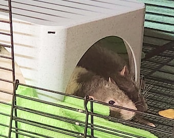Stackable Rat Hide - Climbing, Nesting, Hiding for your Rat's Habitat - Fits 2-3 adult Rats