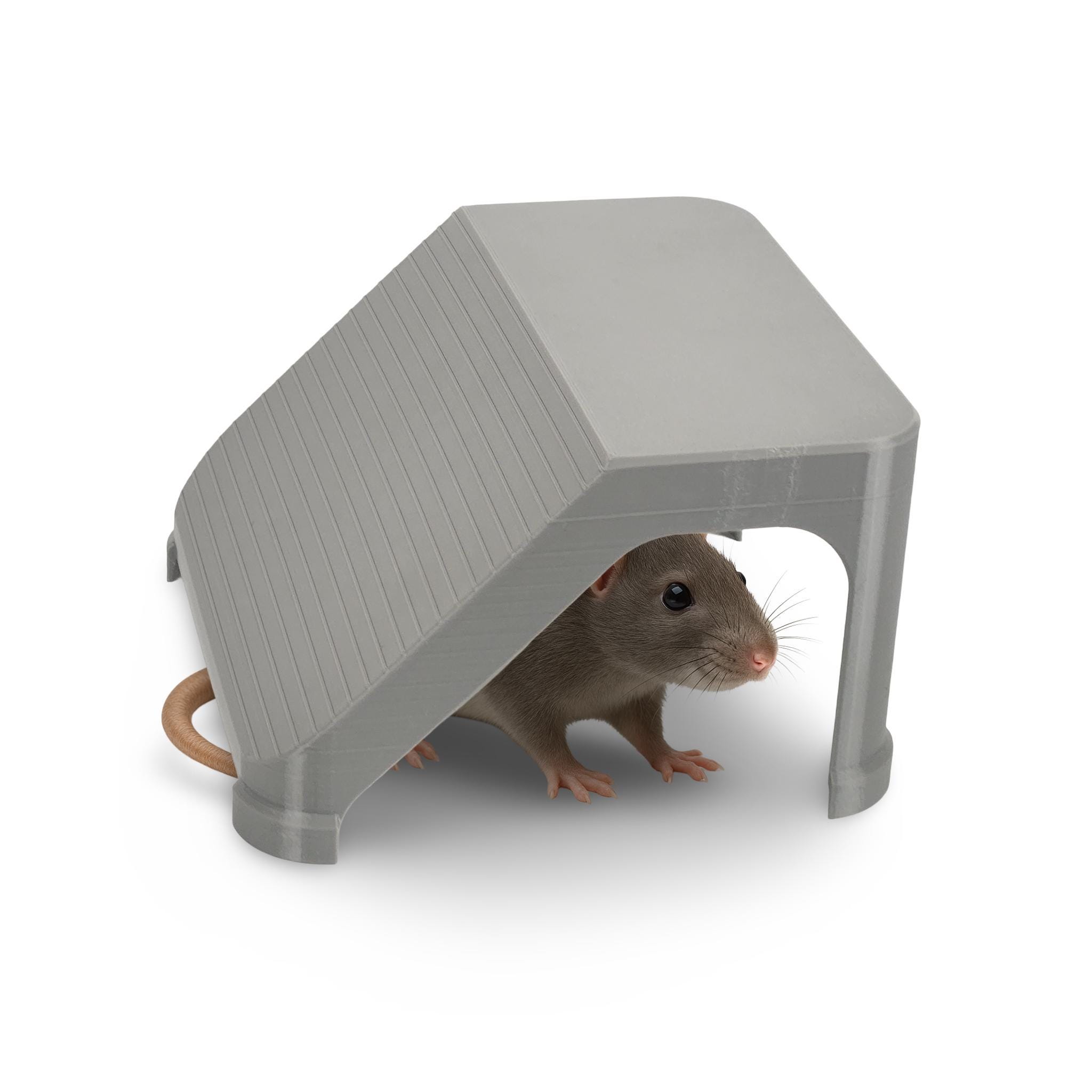 Stackable Rat Hide - Climbing, Nesting, Hiding for Your Rat's Habitat ...