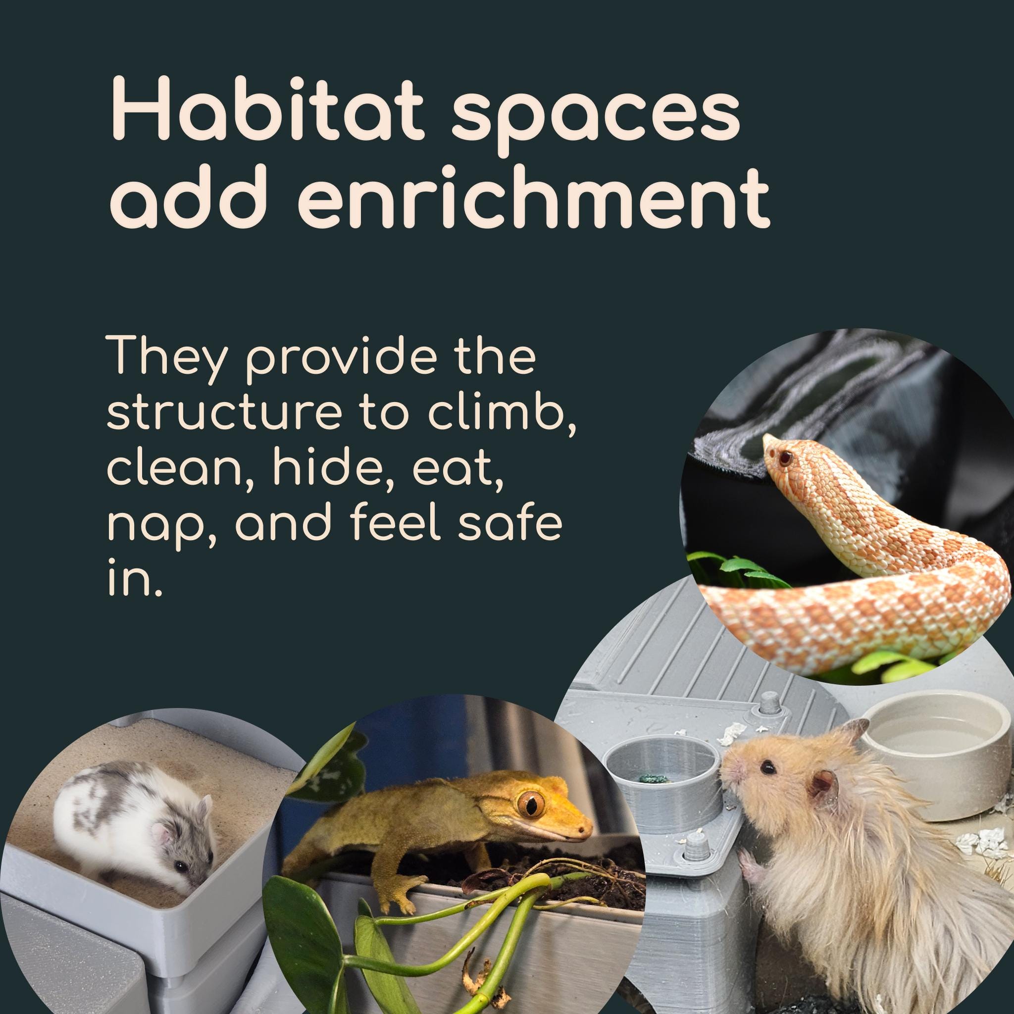 Stackable Rat Hide - Climbing, Nesting, Hiding for Your Rat's Habitat ...