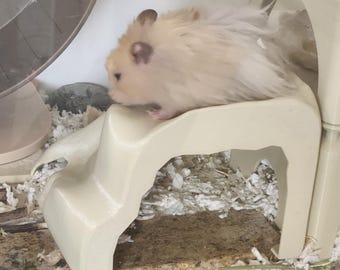 Rock Refuge Hamster Hide - Burrowing, Nesting, and Climbing - Syrian, teddy bear, golden hamster