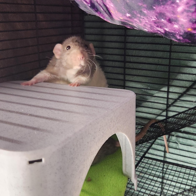 Stackable Rat Hide - Climbing, Nesting, Hiding for Your Rat's Habitat ...