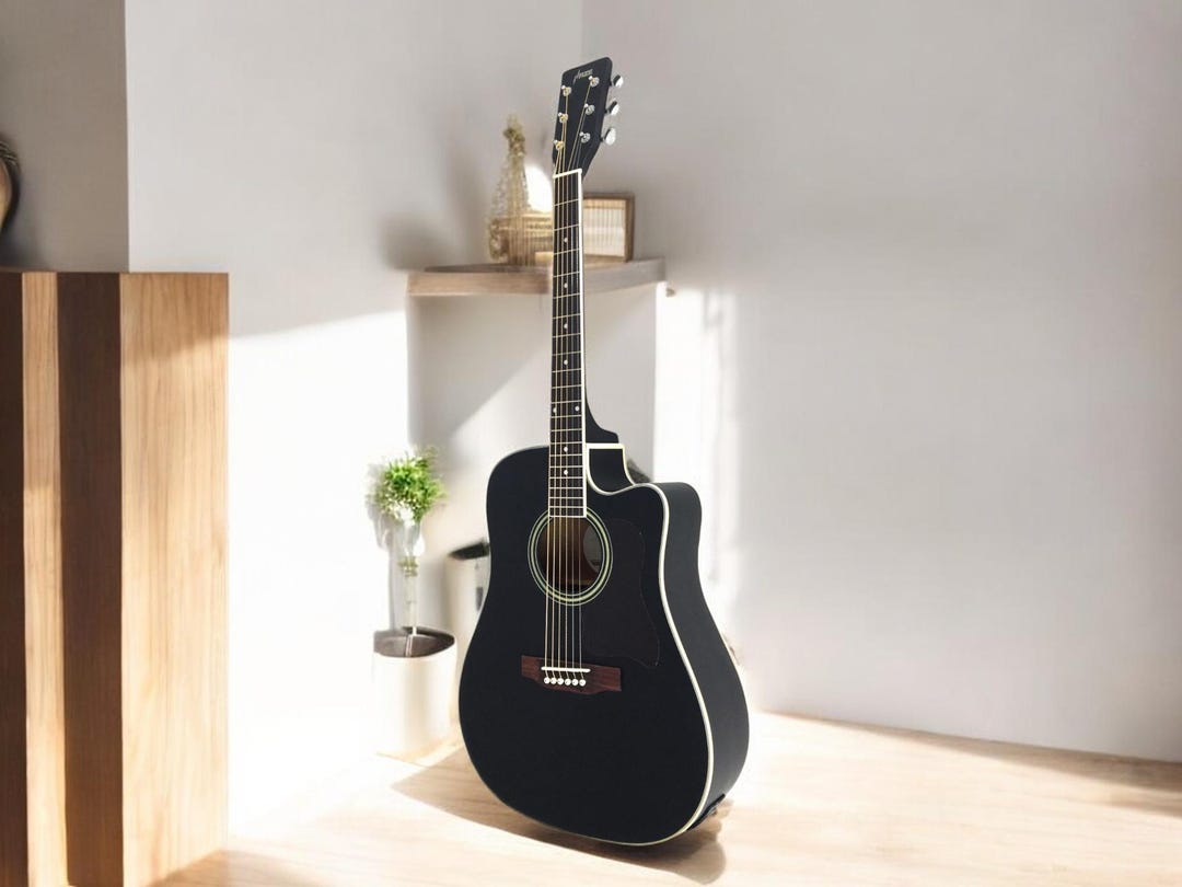 ブラックスプルーストップドレッドノートアコースティックギター