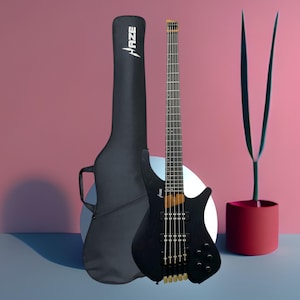 May include: A black bass guitar with gold hardware and a matching black case. The guitar has a wooden neck and fretboard. The case has the word "RAZE" printed on it in white. A red and black plant pot with a tall plant is to the right.